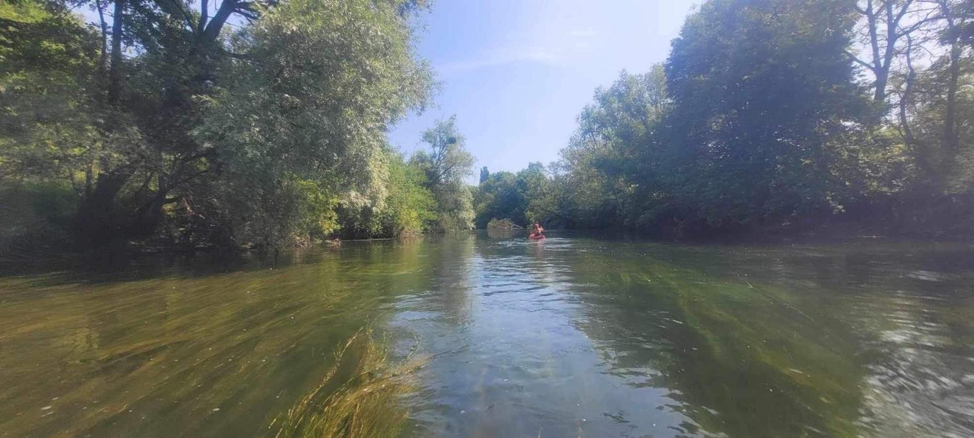 Detente A Sorques Montigny-sur-Loing Εξωτερικό φωτογραφία